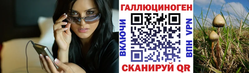 Купить  Агидель  Псилоцибиновые грибы мицелий 